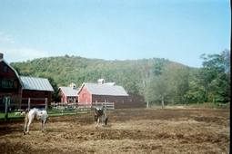 Solid Rock Ranch, Inc