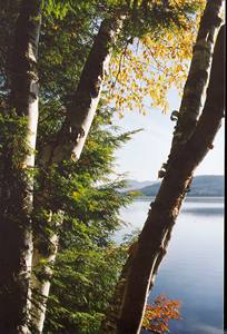 Lower Saranac Lake